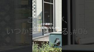 この視線が、いつか宝物になる #06 #チワワ #犬のいる暮らし #60代の暮らし