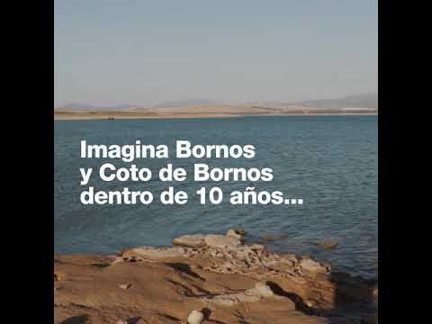Vídeo