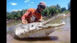 MONSTER Alligator GAR fishing in TEXAS! INSANE FIGHT!