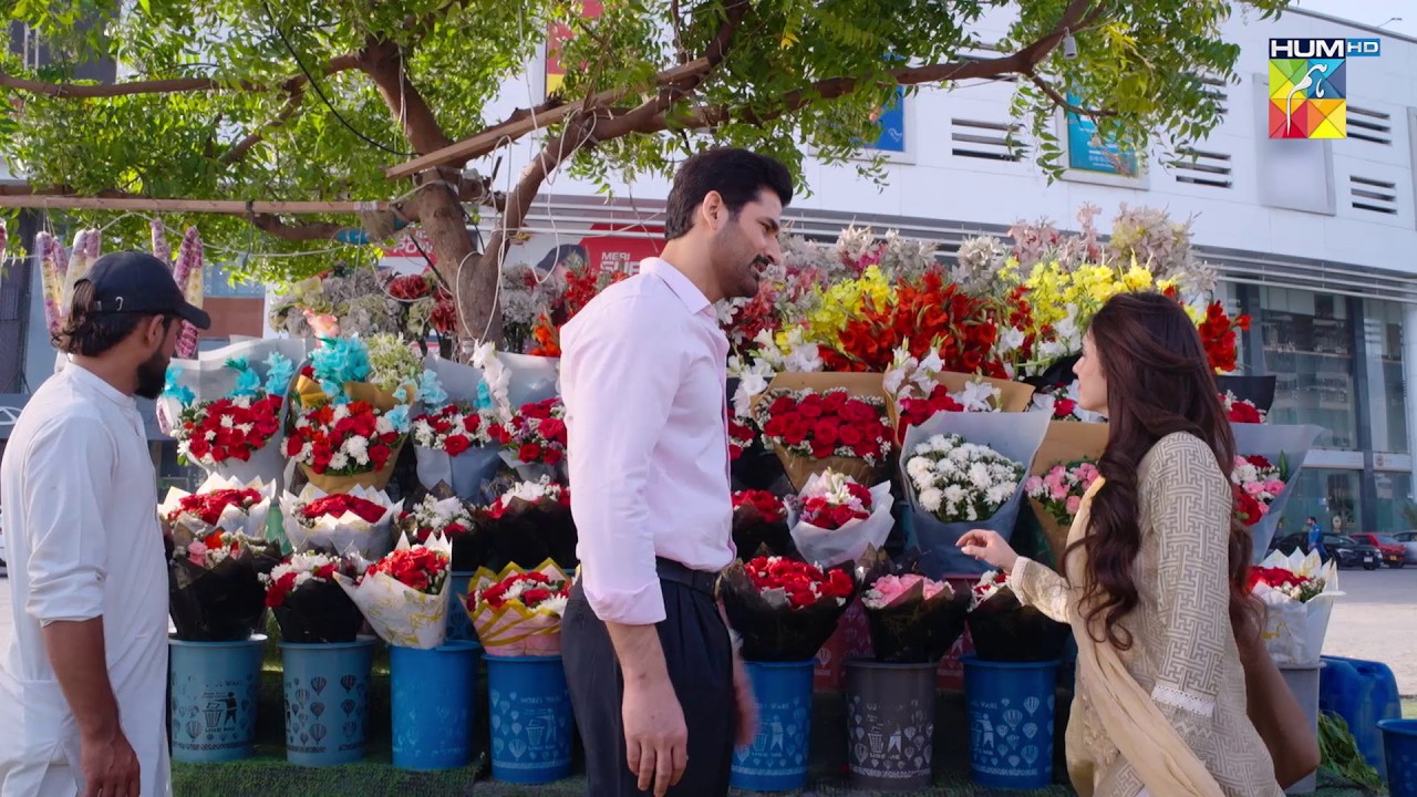 Ye Phool Kis Ke Liye Khareed Rahi Hoo...! Aye Dil Aazma Nahin - HUM TV