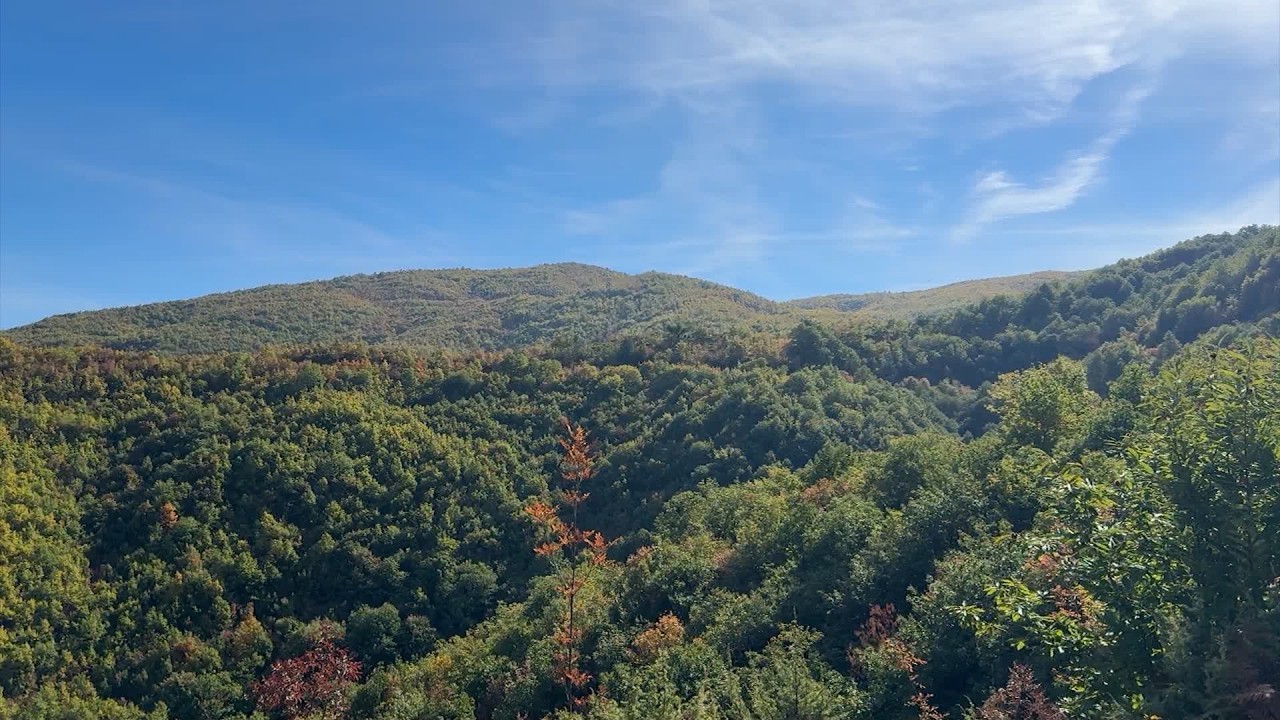 Kukës, jetesa në Shëmri, Hasan Brija tregon për punën aktivitetin e tij