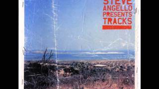 Steve Angello - Player
