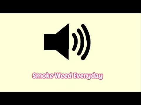 “Smoke Weed Everyday” Meme Sound Effect
