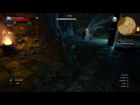 The Witcher 3: Wandering in the dark Fight the wild hunt warrior