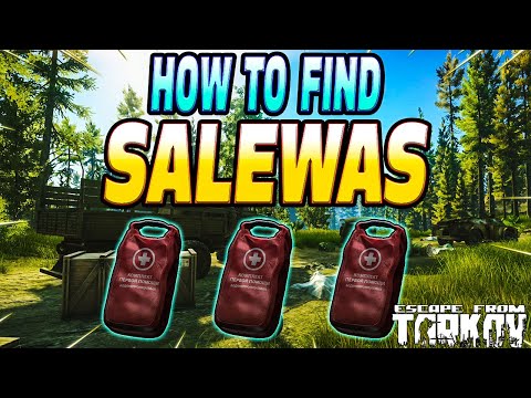 The Best Way To Find Salewas Early Wipe - Escape From Tarkov Guide
