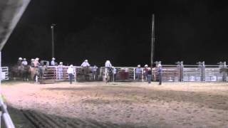 Pal John Klooz Tiedown Calf Roping Horse For Sale