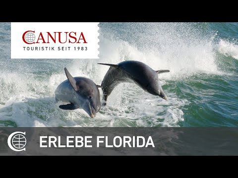 Den Sunshine State Florida erleben | CANUSA