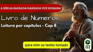NÚMEROS 8 | Quando Deus Te Consagra Para Servir | Bíblia Narrada com Reflexão e Oração Final