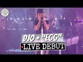 Djo "Egg" LIVE Debut