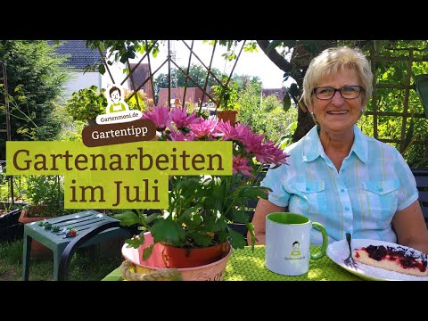 Gardening in July - What should you do and consider in the garden in July?