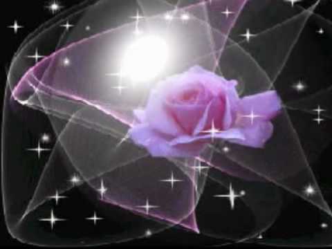 Como las Rosas video