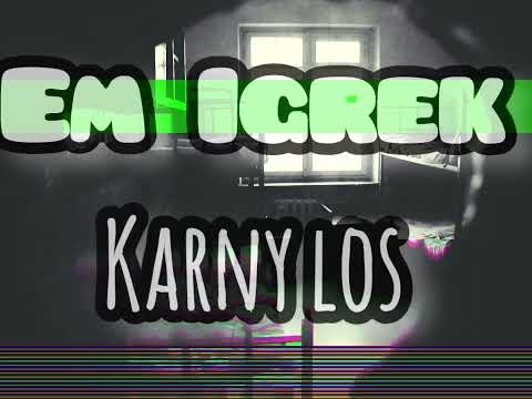 Em Igrek - Karny Los
