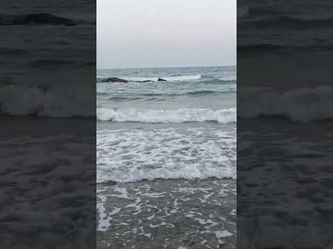 #music #song #travel #automobile #god #sky #love #dance #خلیج_همیشه_فارس #beach #happy #مازندران