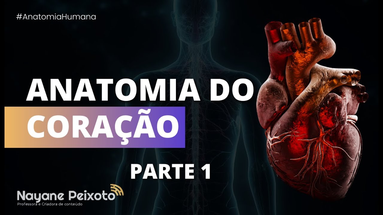 Anatomia do coração [parte 1]