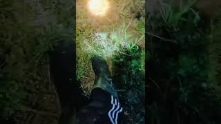 Download lagu berkik / pekkung / burcet burung sawah ‼️ mp3