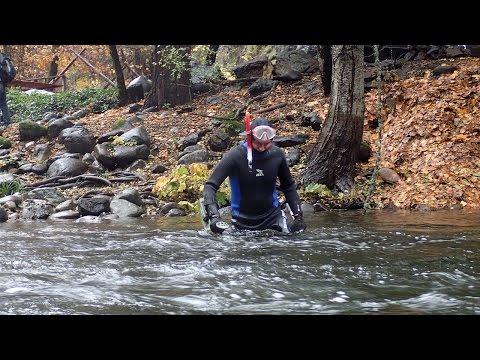 The Best Just Got Better