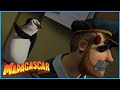 DreamWorks Madagascar Taking Over The Ship Madagascar Movie Clip