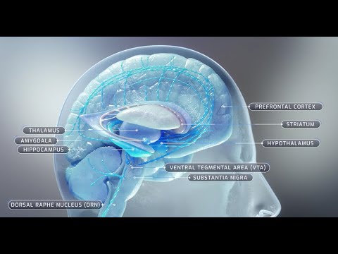 TAAR1: Trace Amine-Associated Receptor