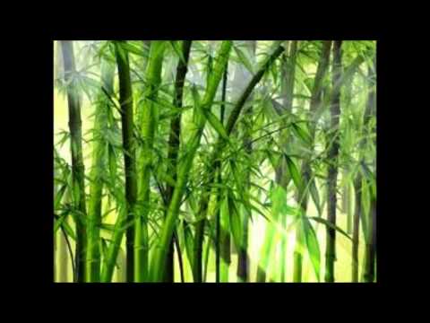 Bambo station How tings AH go