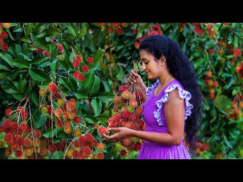 Rambutan fruit recipe π Sweet & Sour Sinhalese Fruit Dishes | Sri Lankan Food | Nature Cooking