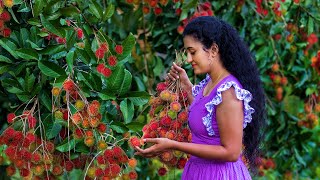 Sri Lankan Rambutan Recipes 🍒 Sweet and Sour Sinhalese Fruit Dishes (Sri Lankan Traditional Cuisine)