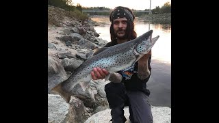 preview picture of video 'Havsöringfiske i Luleälv'