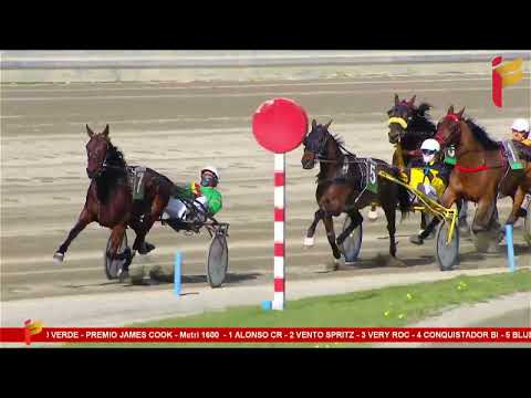 I corsa del 14 gennaio 2023 - 5 Anni ed oltre - Metri 1600 - Gentlemen propr.