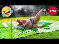 Try Not To Laugh 🤣 Top 100 Funniest Videos Ever 😂 | Funny Videos Compilation 2026 #155