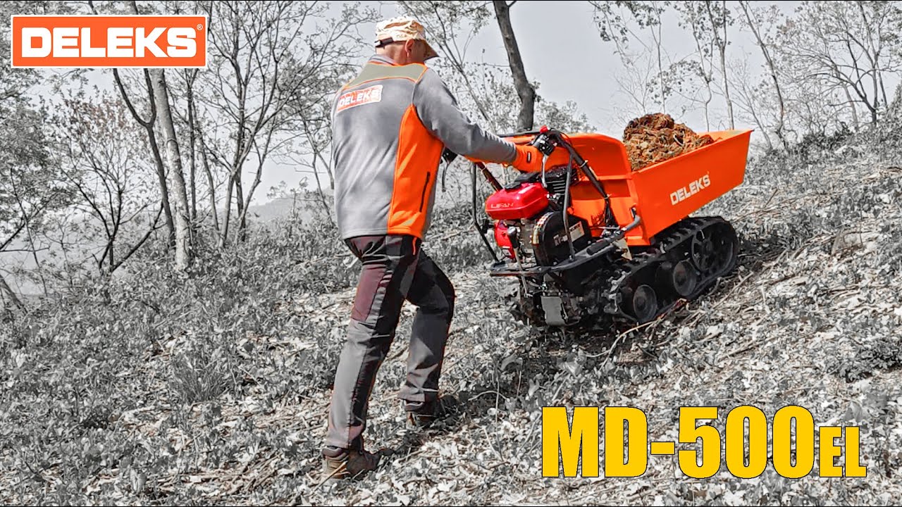 Essai sur le terrain