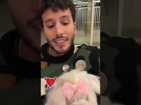 Yatra Ni Camilo Ni Rauw Están Enamorados |#shorts #viral #camilo #camiloyevaluna #evaluna #latribu