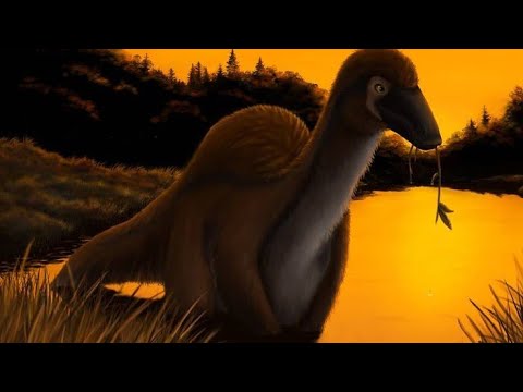 Paraxenisaurus - Lagarto Extraño - DinoPedias 🇲🇽