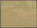The Kid VHS Trailer