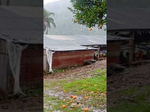 Dia chuvoso aqui em Estrela velha Rio grande do Sul ⛈️🌧️