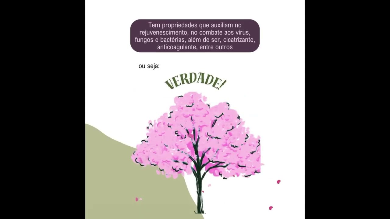 22. O Ipê roxo é uma planta medicinal?