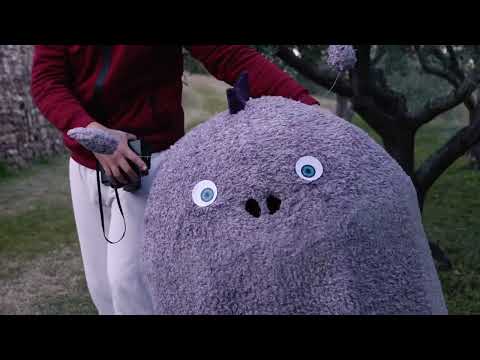 video frame placeholder