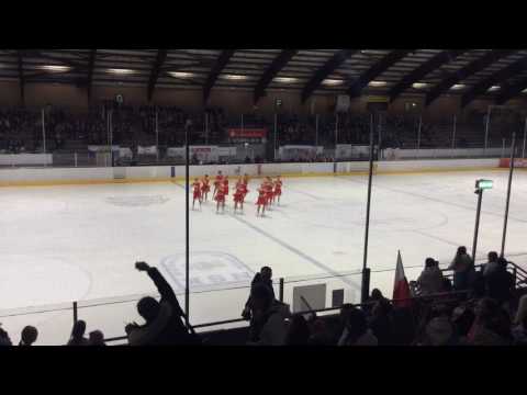 Saxony Ice Pearls - Mixed Age