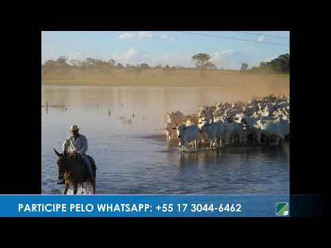 Caminho da Roça - Apresentação: Paulinho | 08/04/2026 - Parte 1