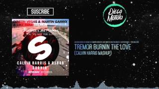 Tremor vs Burnin vs You've Got The Love (Calvin Harris Mashup) (EDC Las Vegas 2015)