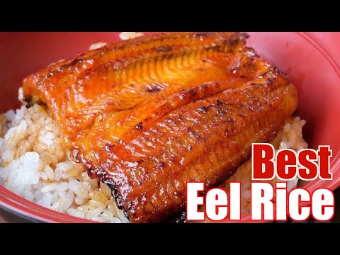 Best Unagi (eels) in Old Shinagawa Tokyo - Unasen うな泉