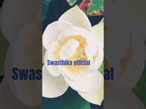 Lotus flower tamil bgm whatsapp status swasthika official please like and subscribe to my channel