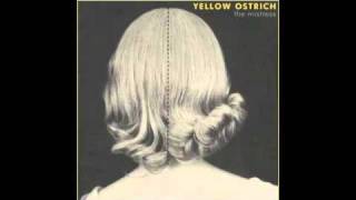 Yellow Ostrich - Campaign