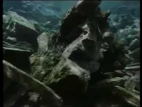 (29) La Collection COUSTEAU - Indonésie, les vergers de l'enfer (1991)