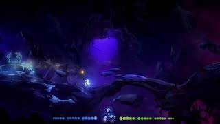 【Ori 2】Oriとなかちゃんの意思【Ori and the Will of the Wisps
】 #5