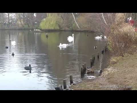 Schäferstündchen 13122020