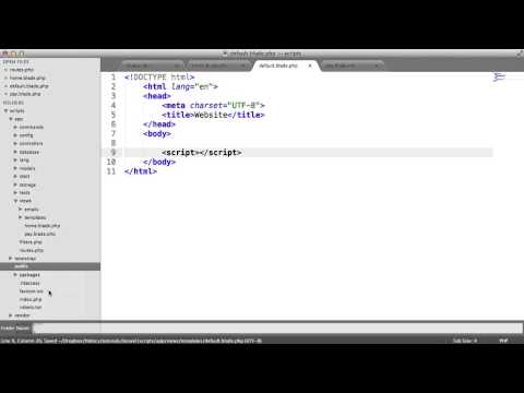 Laravel Flexible Script Includes