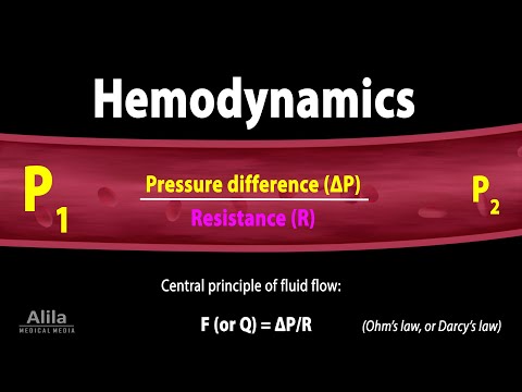 Cardiovascular System Overview Animation