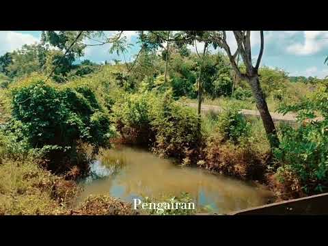 Profil Desa Pemuda