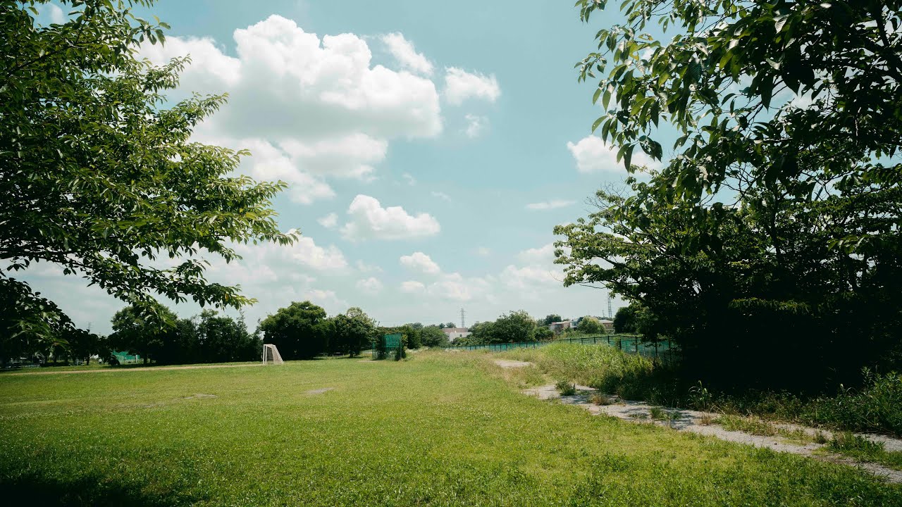 Fragments of Tokyo between spring and summer