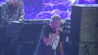 deep purple Birds of Prey