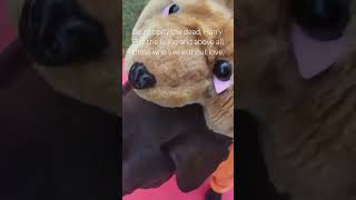 Do not pity the dead, Harry. Pity the living and above all those who live without love.